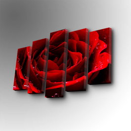 Wallity Cuadro Decorativo en Lienzo 5 Piezas 5PUC-154